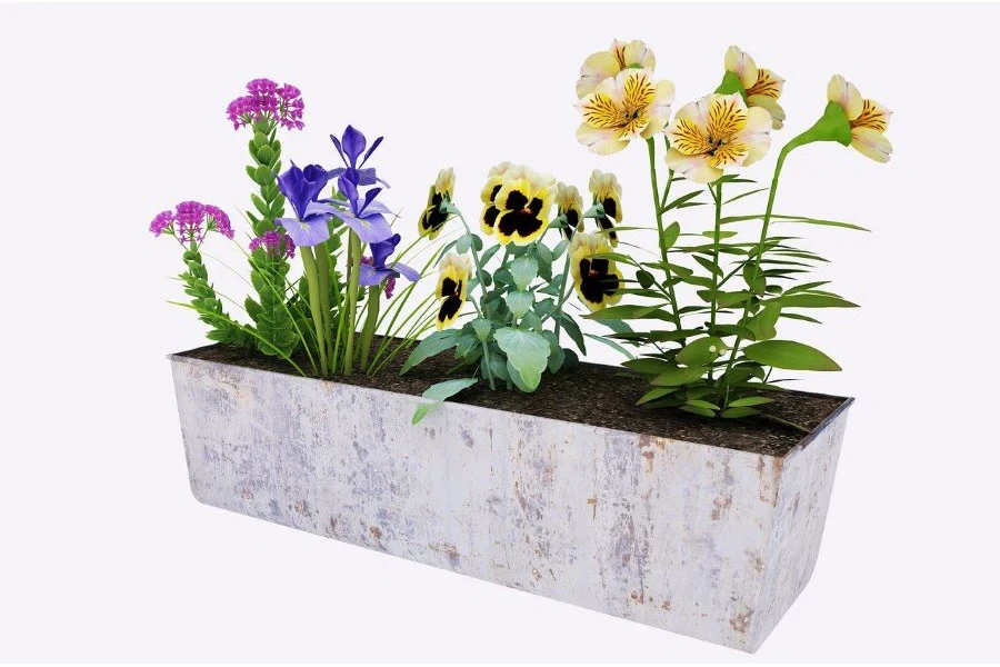 Flowers in a whitish planter box