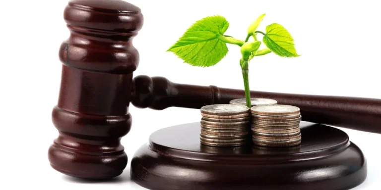 Judge's gavel and a branch with young leaves grown from coins
