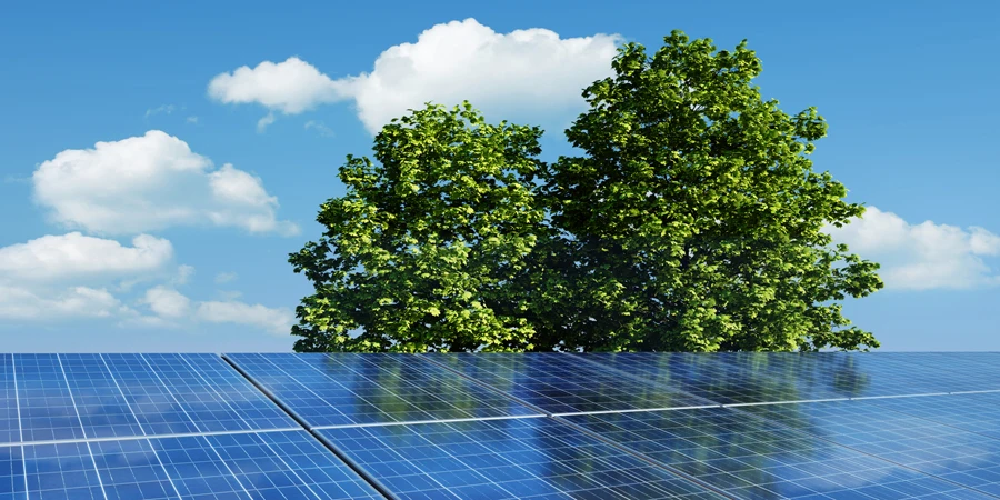 Sistema de paneles solares fotovoltaicos con entorno verde.