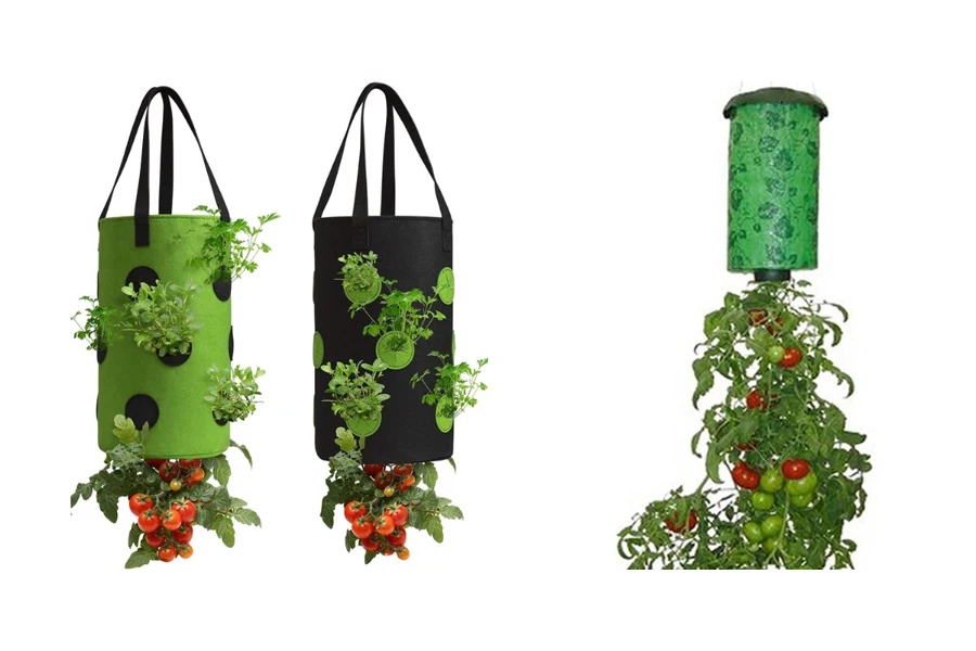 Перевернутые мешки и контейнер для выращивания томатов
