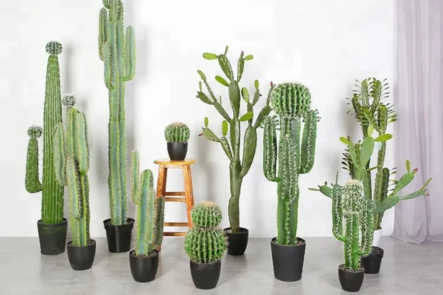 Various types of artificial cactuses