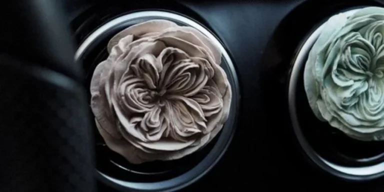 Vehicle Accessories Products