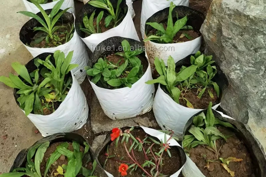 Bolsas de cultivo de plástico LDPE versátiles