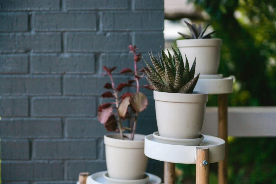 White flower pots on a white and wooden stand