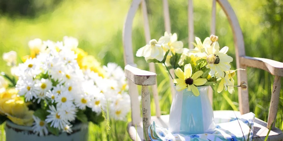 Fleurs blanches dans un vase sur une chaise