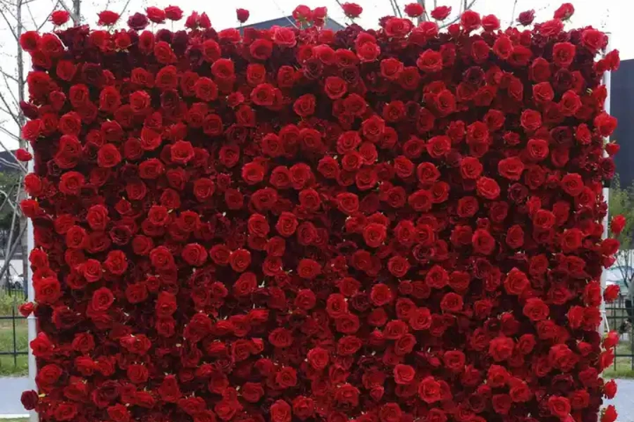 Uma parede vermelha de flores enroladas