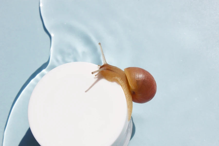 Un escargot sur un pot de crème pour la peau