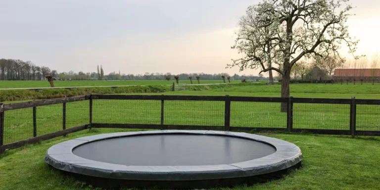 a trampoline in the yard
