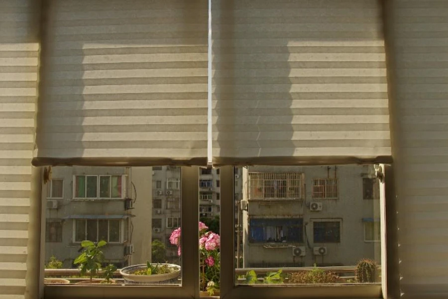 ベージュのハニカムセルブラインドが付いたアパートの窓