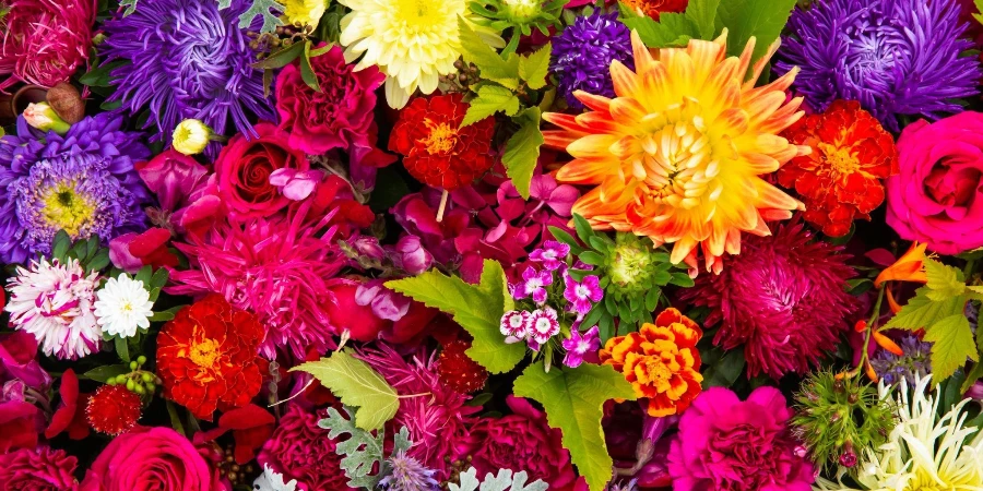 belles fleurs colorées