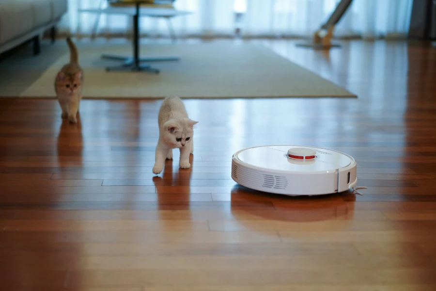 Gato acercándose a un robot aspirador