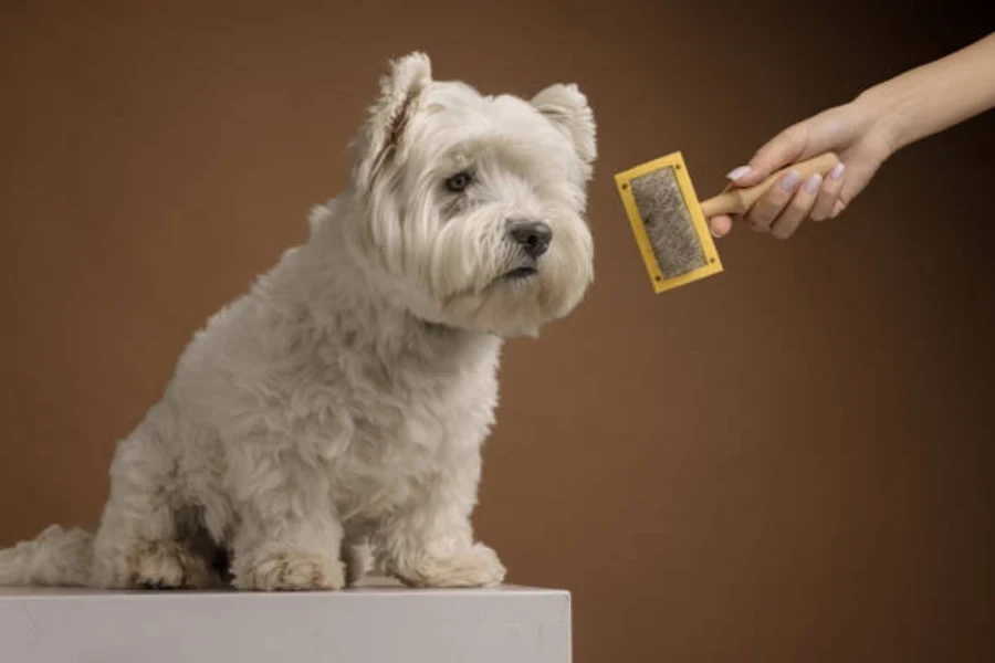 escova de cachorro