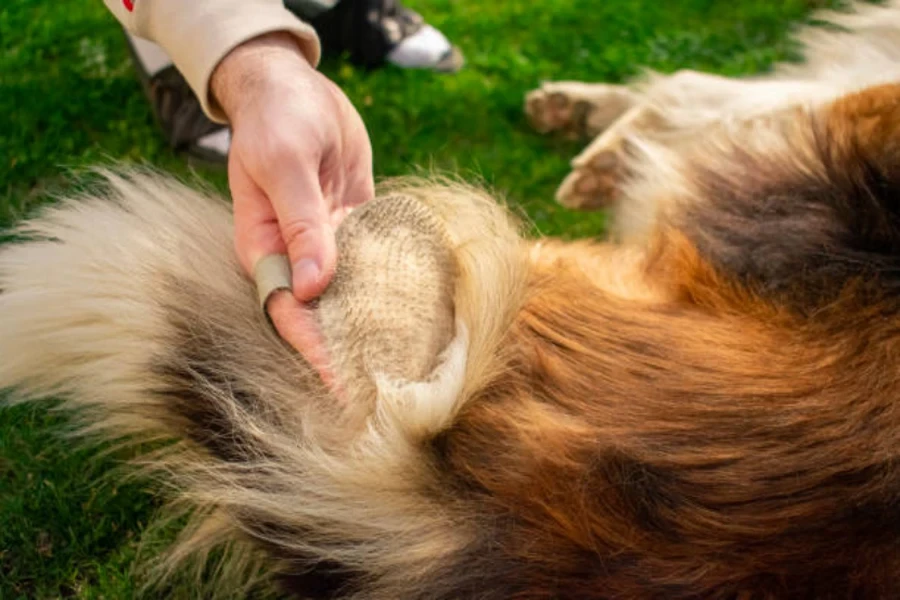 brosse à chien