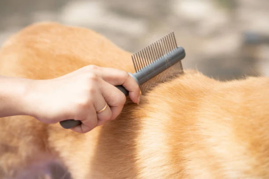 escova de cachorro