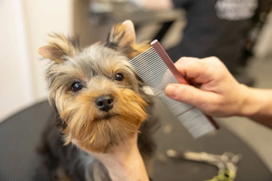 brosse à chien