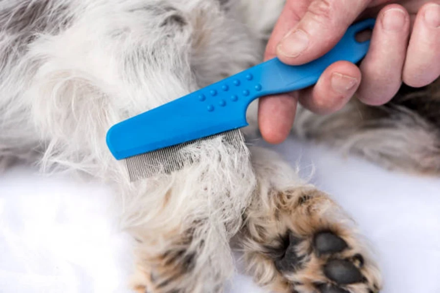 dog brush