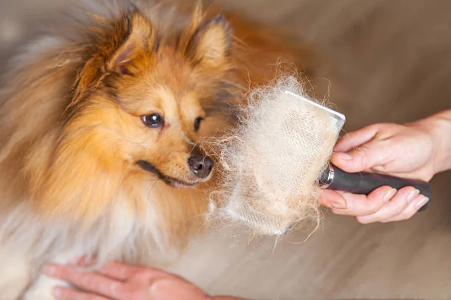 brosse à chien