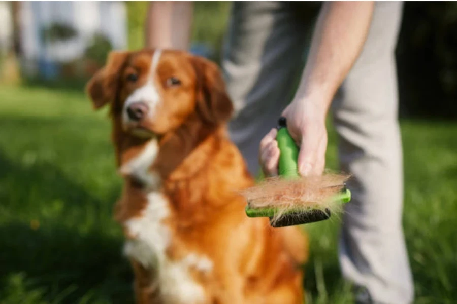 brosse à chien