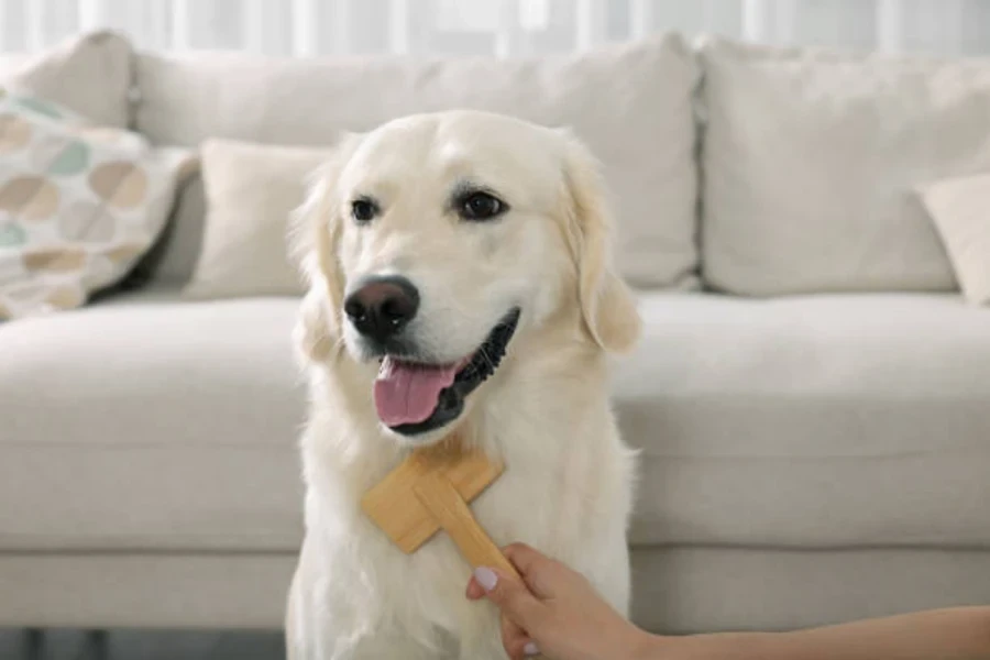 brosse à chien