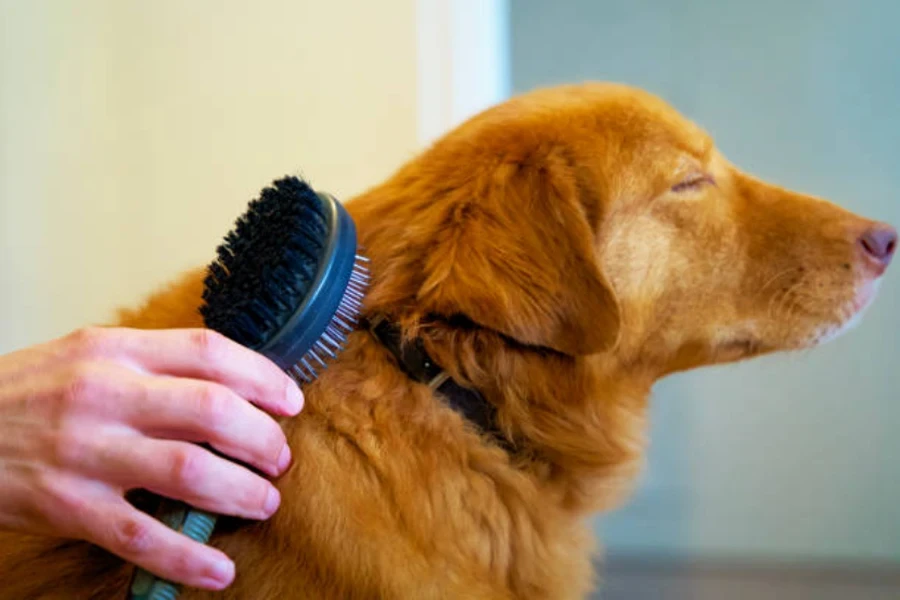 brosse à chien