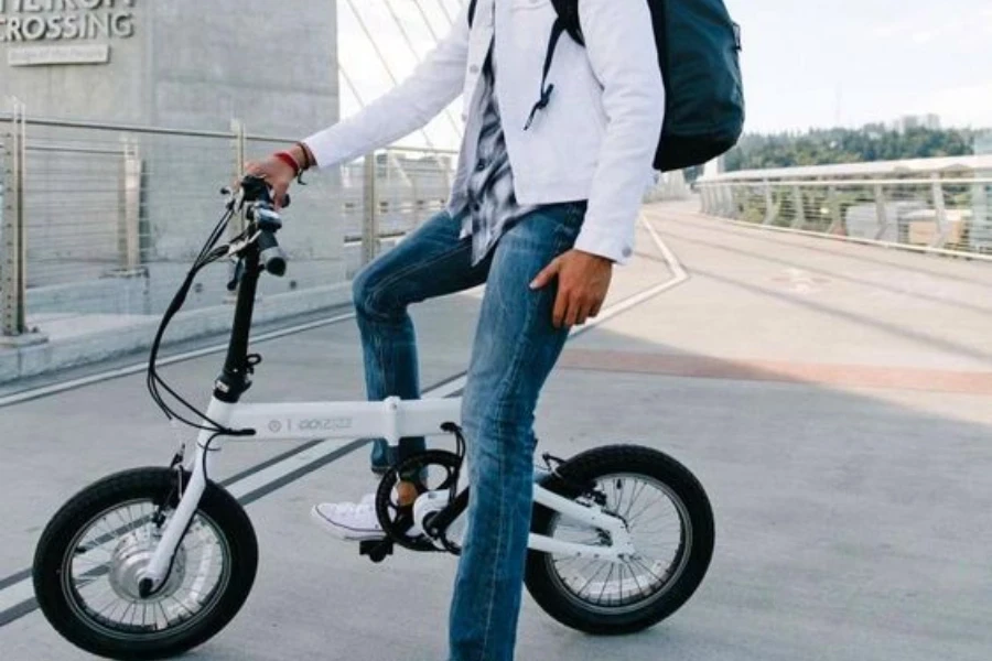 folding e-bike