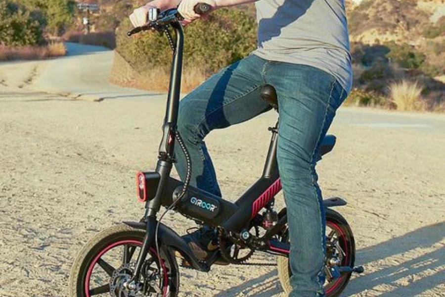 folding e-bike