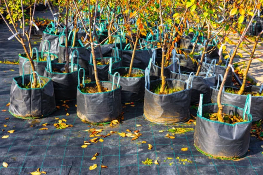 bolsas de cultivo