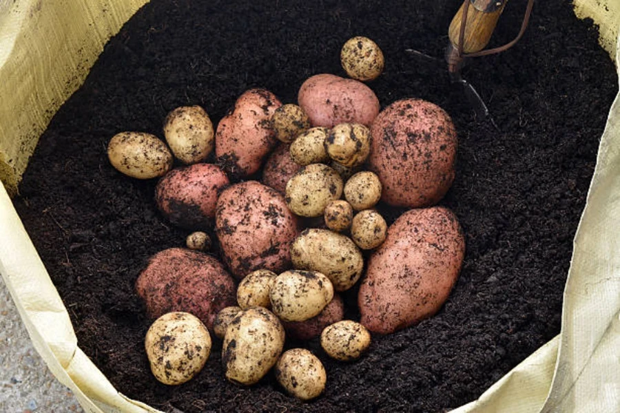 bolsas de cultivo