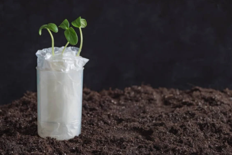 bolsas de cultivo