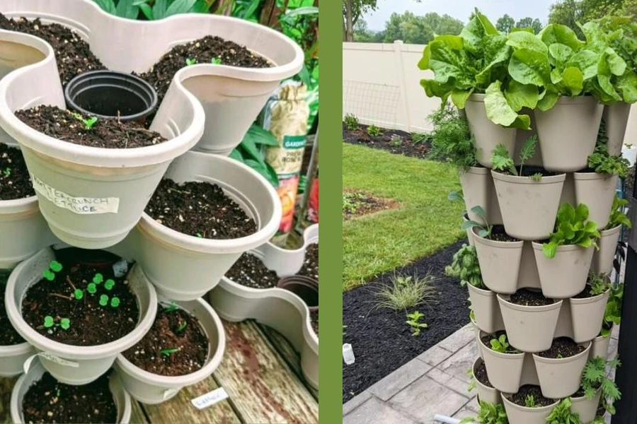 Moderno giardino di spinaci in contenitori impilati