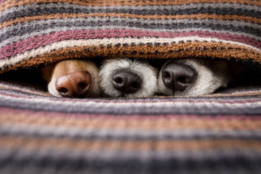 одеяло для домашних животных