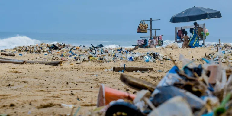 Plastic packaging pollution triggers stringent PPWR