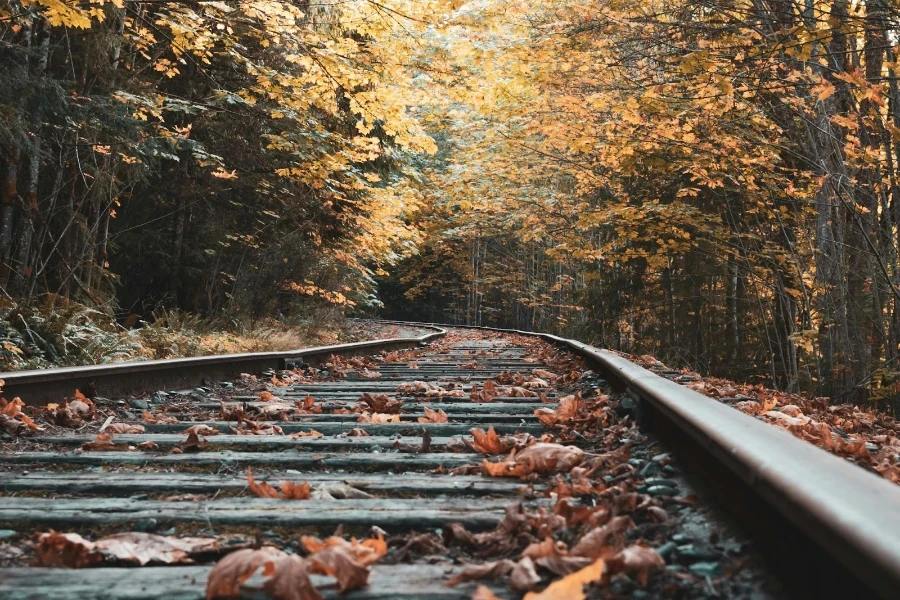 Le fret ferroviaire doit innover pour rester attractif pour les chargeurs