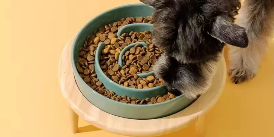 slow feeder dog bowl