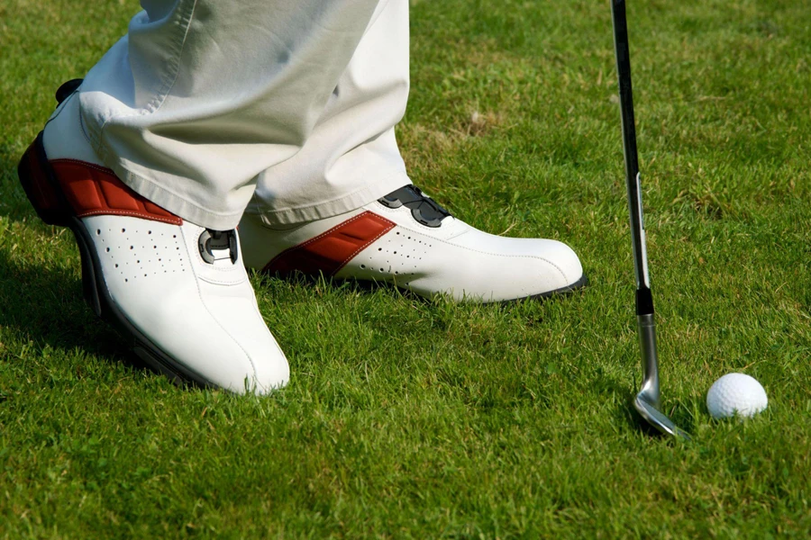 stylistic golf shoes