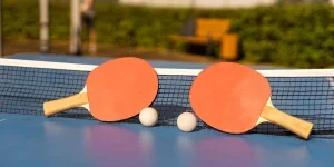 raquetas de tenis de mesa