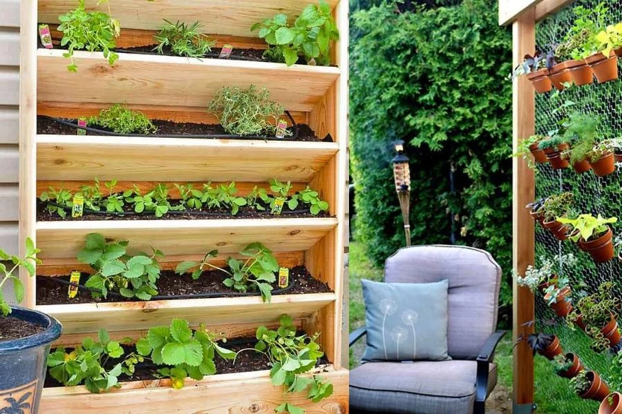 Vertical raised garden on a wooden ladder and pots
