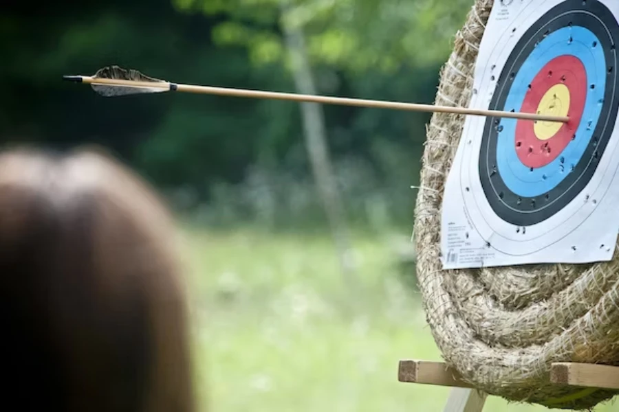 Wooden arrow lodged into red zone of target