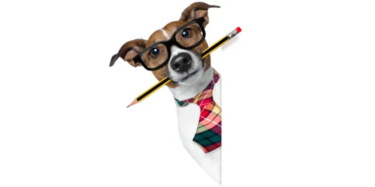 Writing techniques. Dog Stock illustration