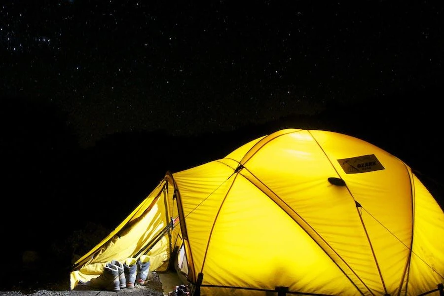 A geodesic tent under a starry night sky