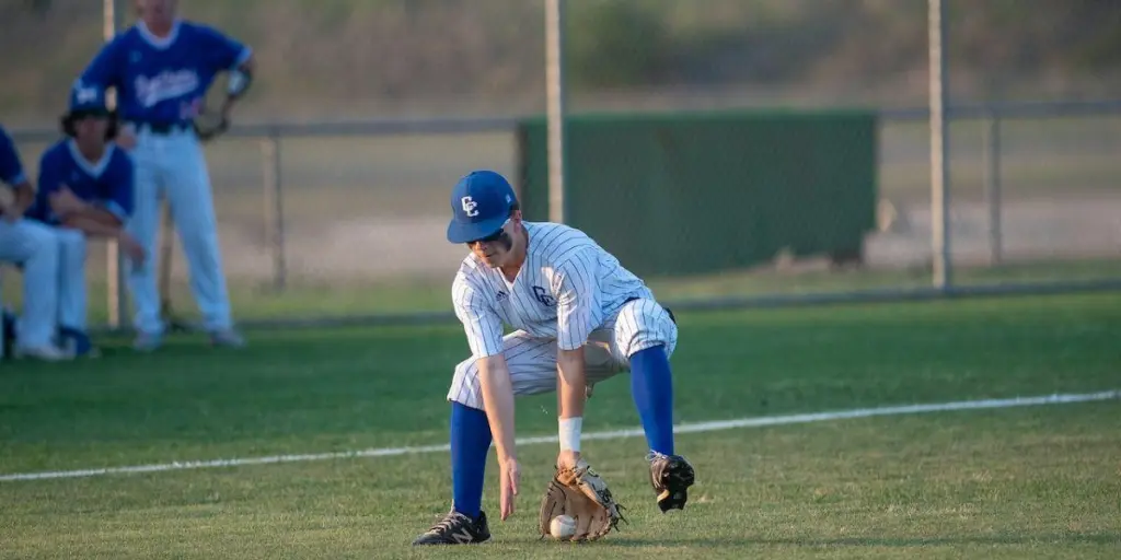 A pitcher playing baseball on grass