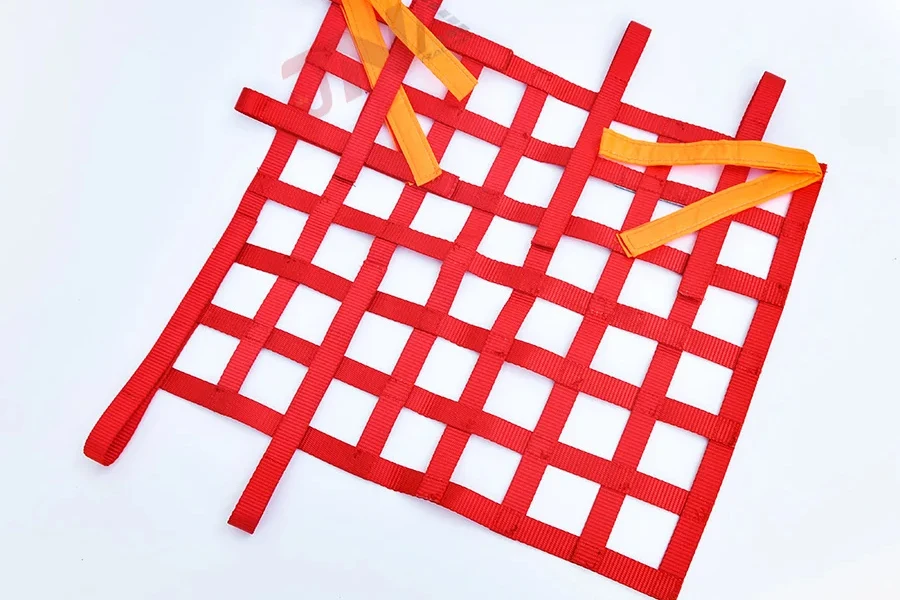 A racing window net on a white background