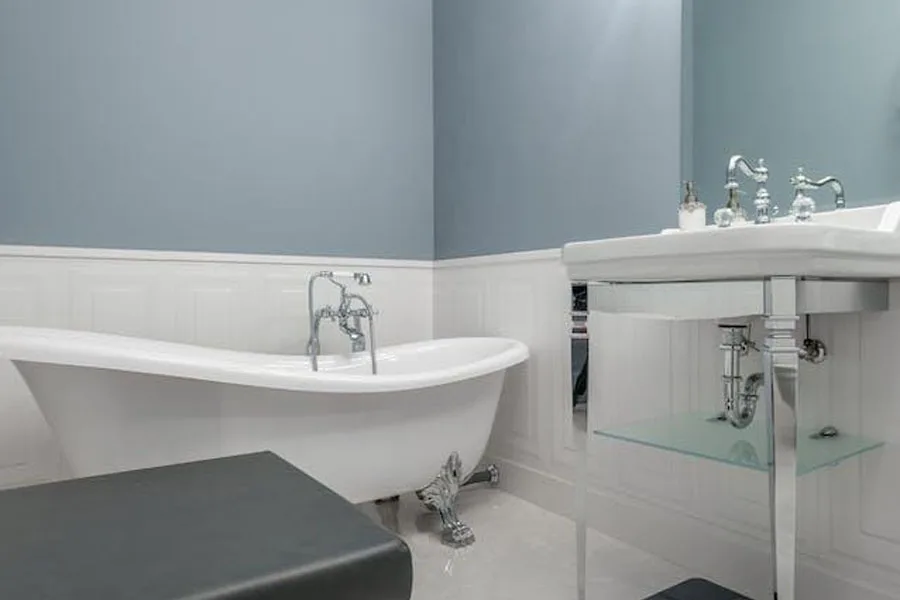 A white slipper bathtub in a bathroom