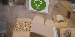 Eco-Friendly Packaging in Ceramics Business