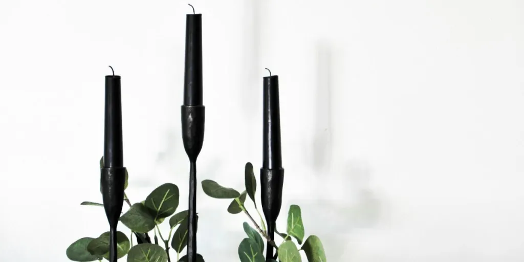 Green plant and three back candle holders with candles
