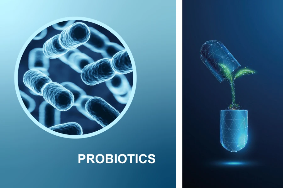 Los probióticos