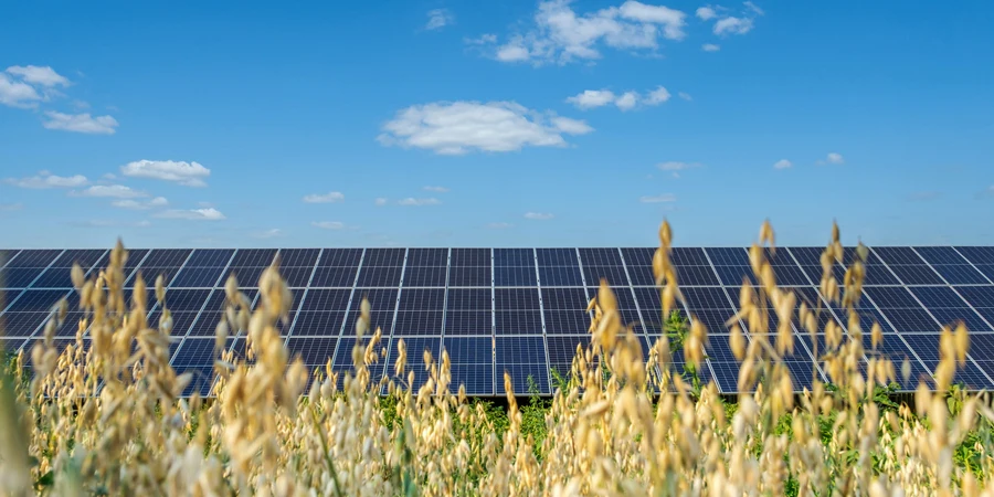 Reihe von Sonnenkollektoren auf einem Solarpark unter blauem Himmel im Feld