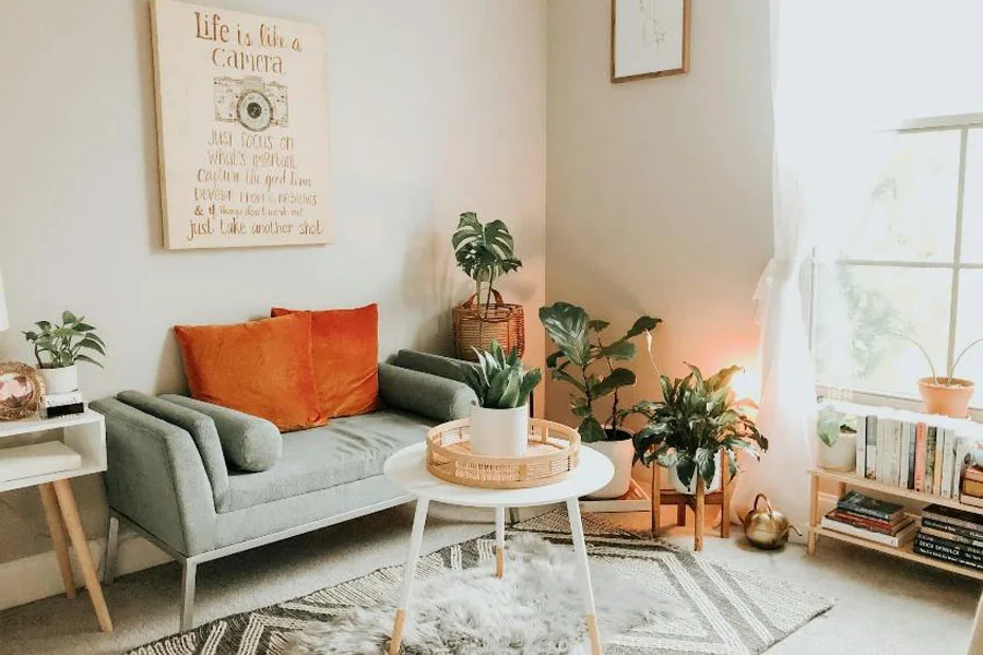 Small living room with indoor plants