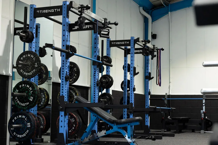 Two blue power racks with black weights