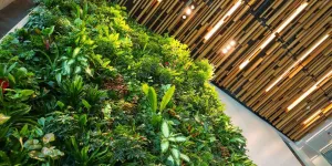 Two story living wall in building lobby